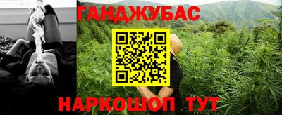 крисы Аргун